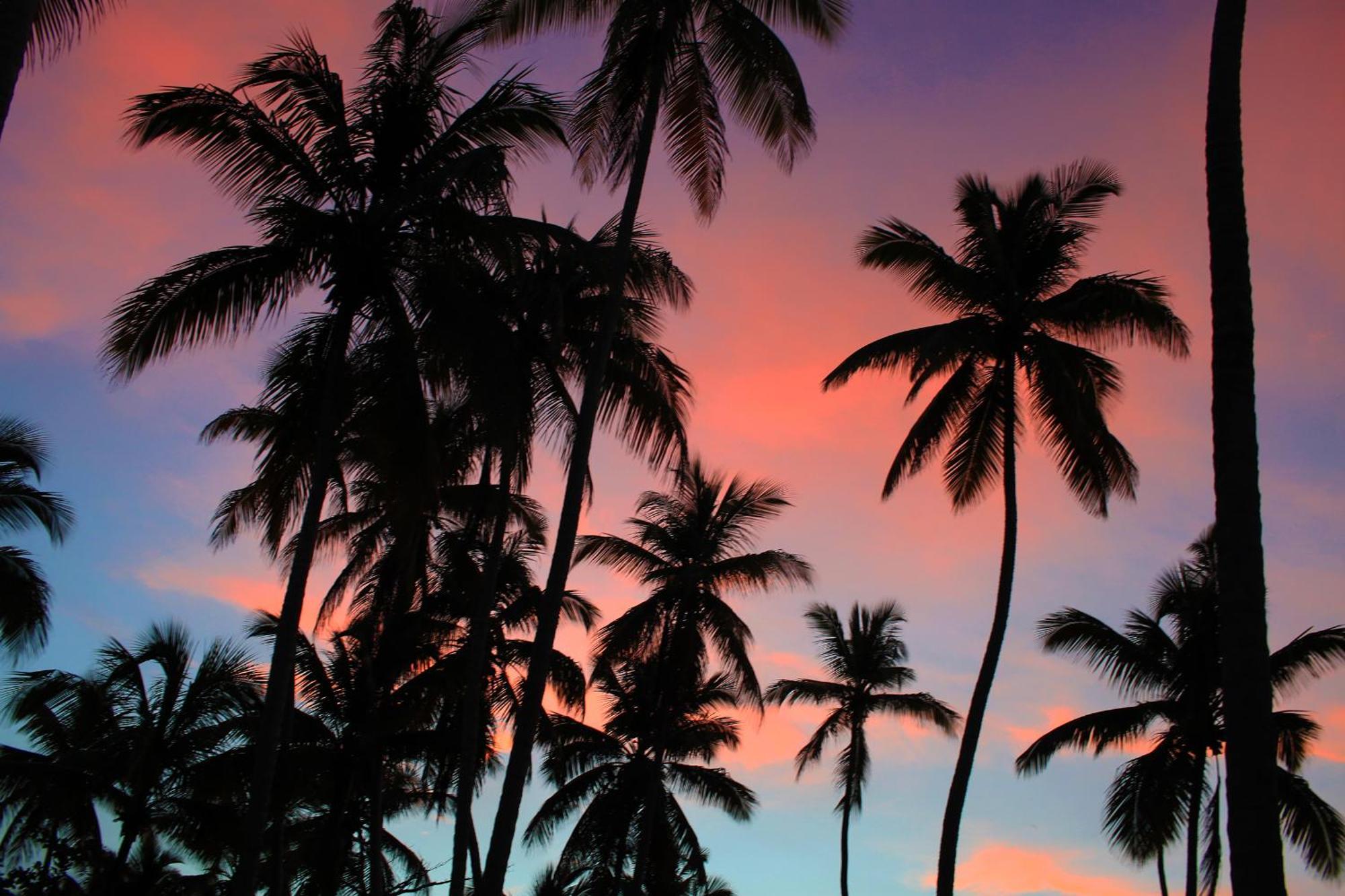 Hotel Todoblanco, Las Galeras, Samana Bagian luar foto