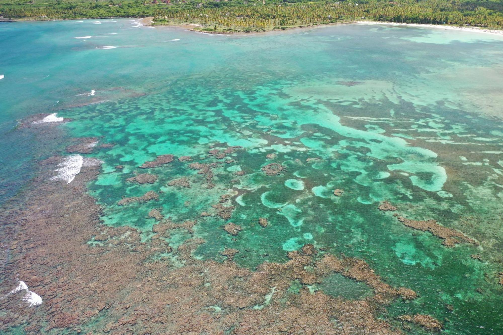 Hotel Todoblanco, Las Galeras, Samana Bagian luar foto